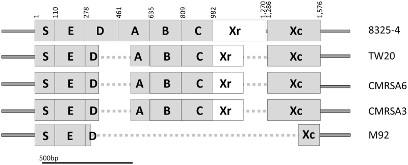 FIGURE 2