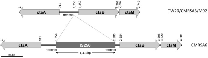 FIGURE 4