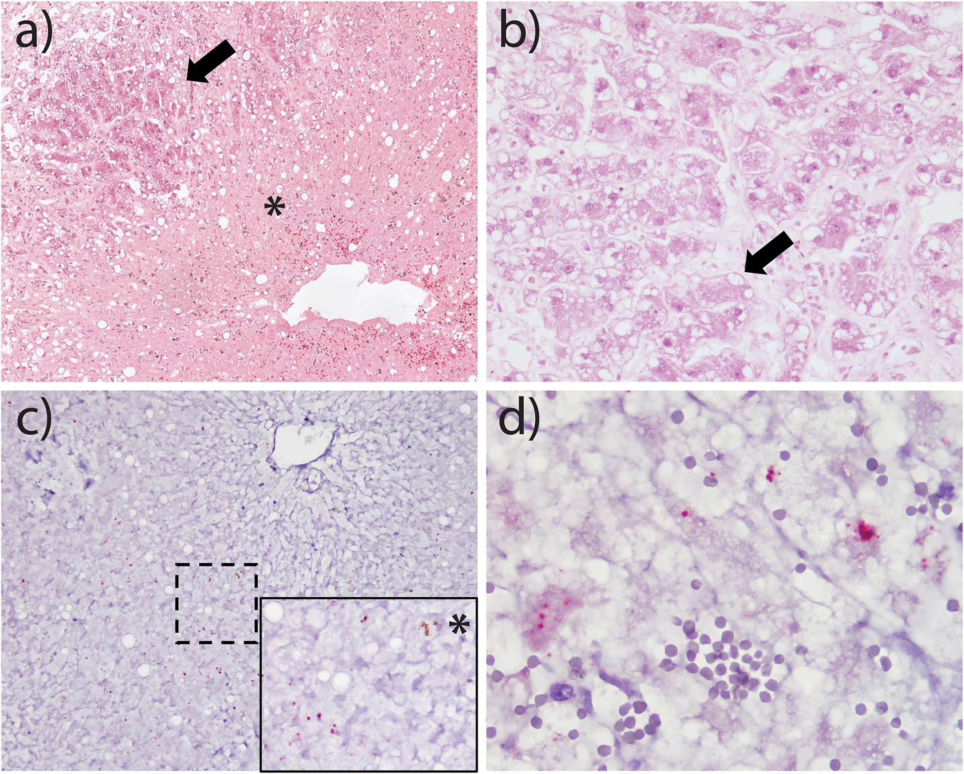 Fig 1: