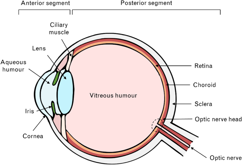 Figure 2