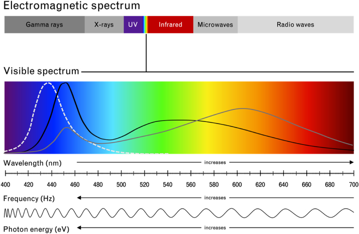 Figure 1