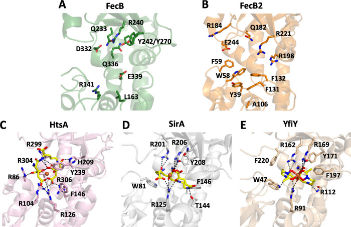 Fig 3