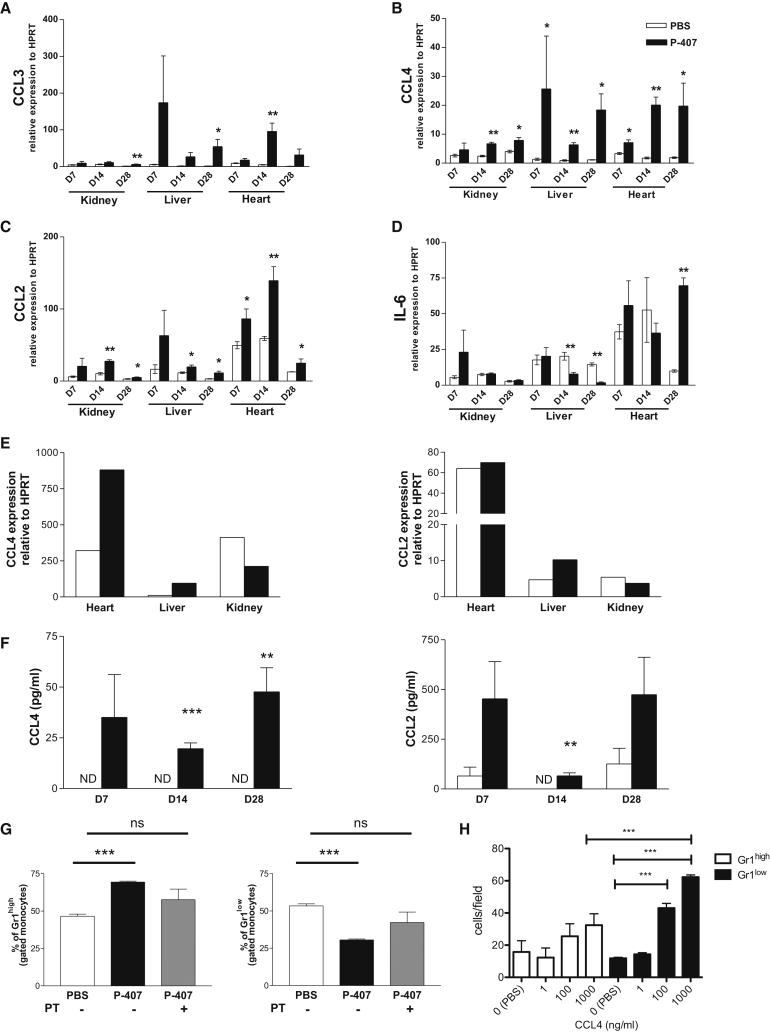 Figure 6