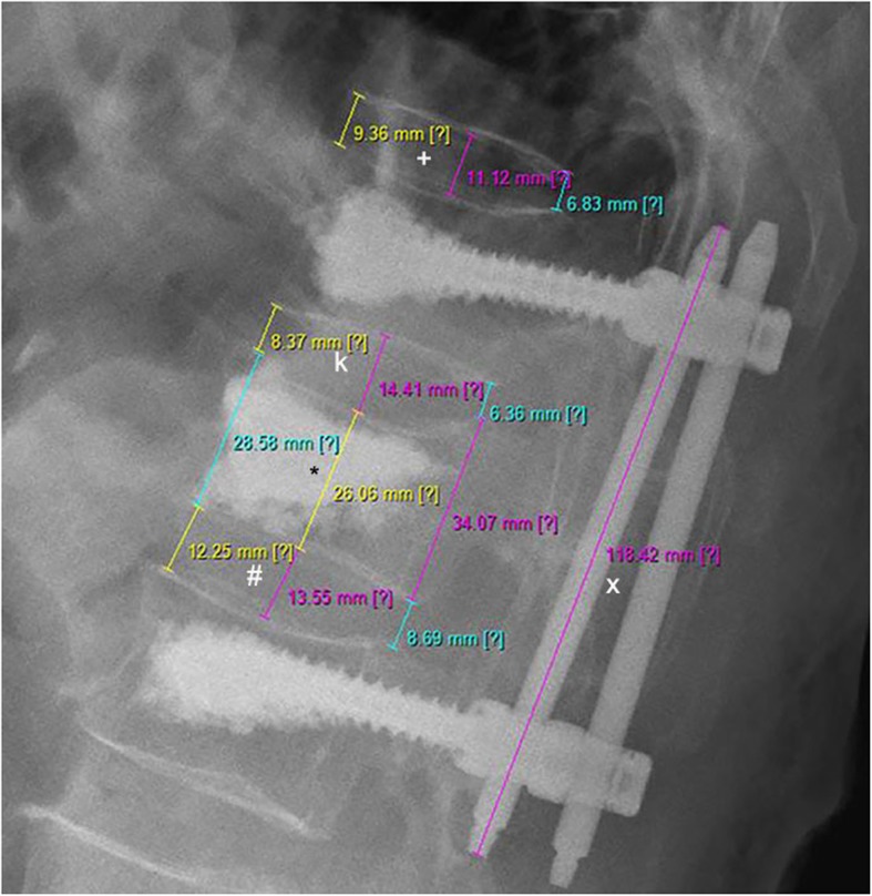 Fig. 1