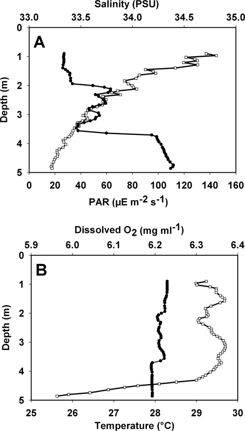 FIG. 1.