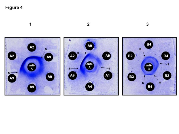 Figure 4 