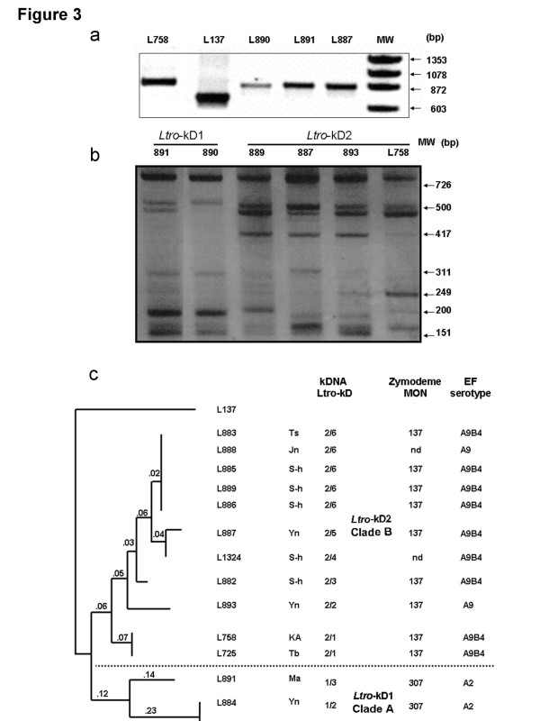 Figure 3 