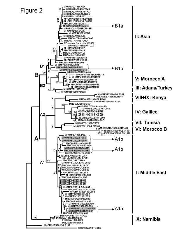 Figure 2 