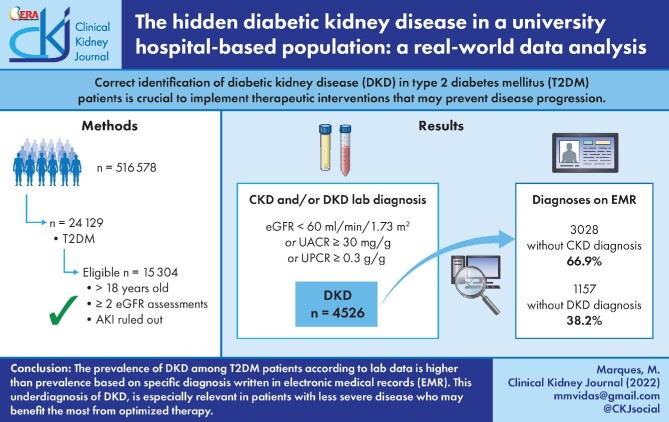 Graphical Abstract