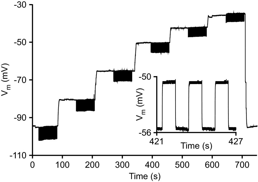 Fig. 2.