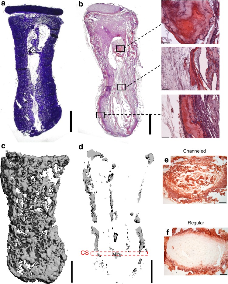 FIG. 5.