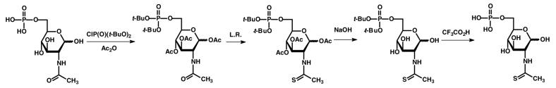 Scheme 2