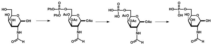 Scheme 5