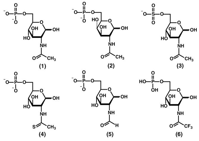 Scheme 6