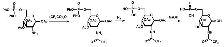 Scheme 4