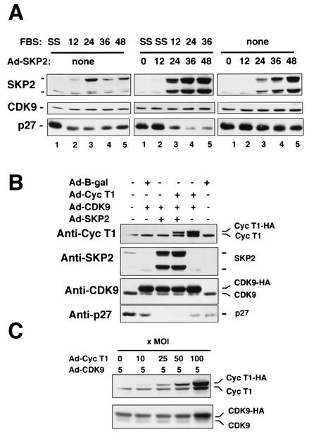 FIG. 4.