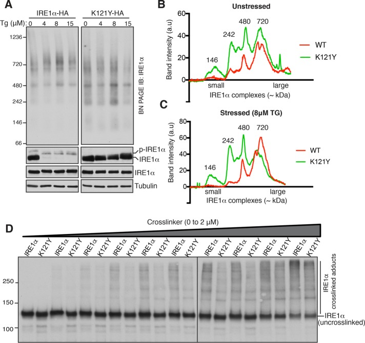 FIGURE 3: