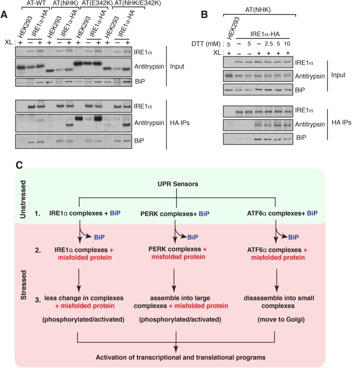 FIGURE 6: