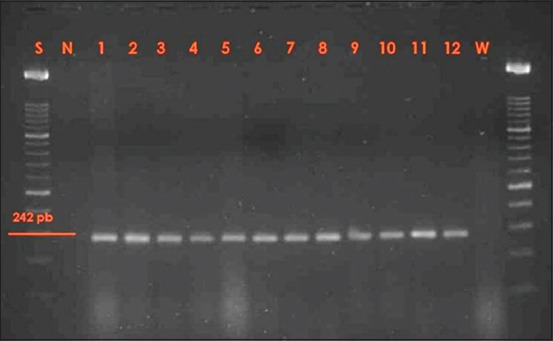 Figure-2
