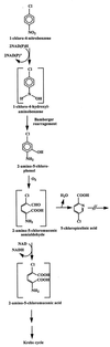 FIG. 6