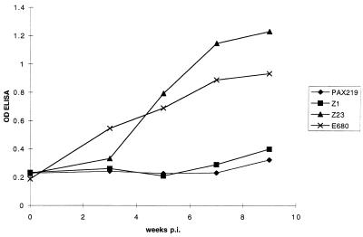 FIG. 1