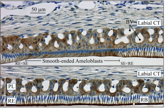 Figure 9.