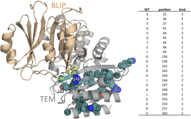 Fig. 3.