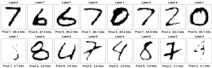 Figure 12