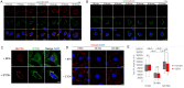 FIGURE 5: