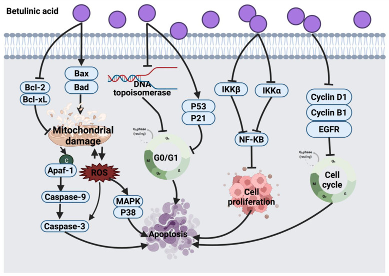 Figure 13