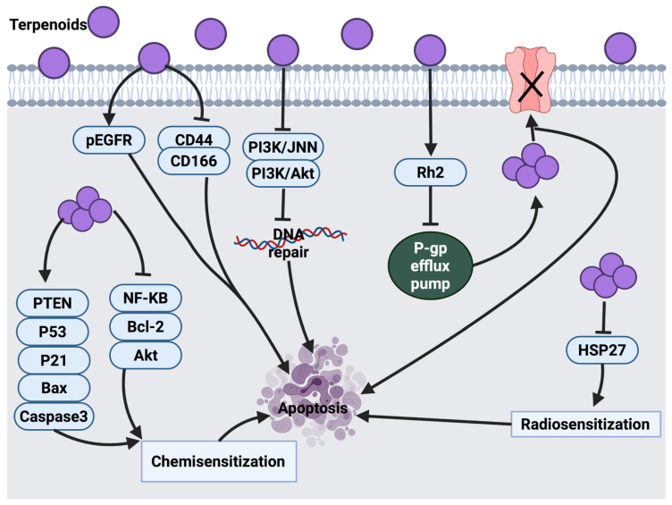 Figure 15