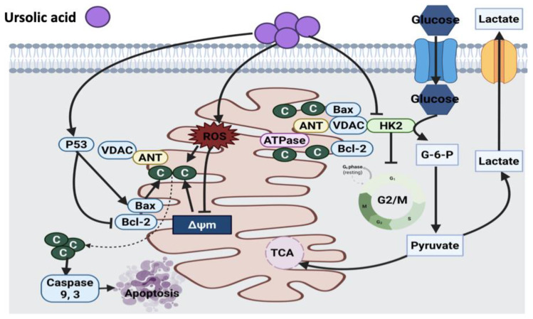 Figure 12