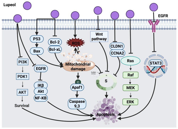 Figure 14