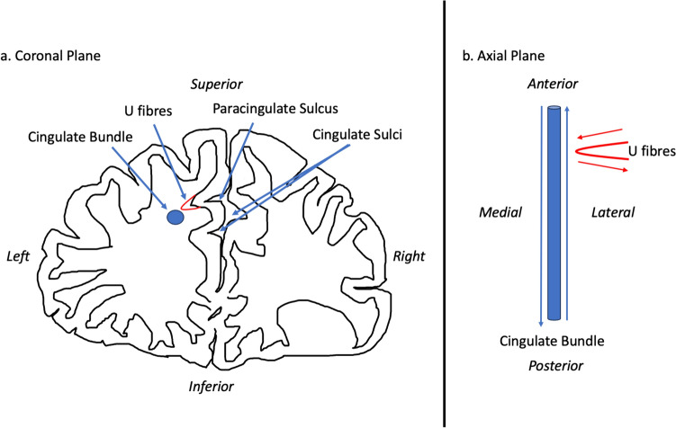 Fig. 8