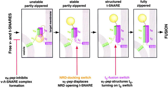 Figure 9.