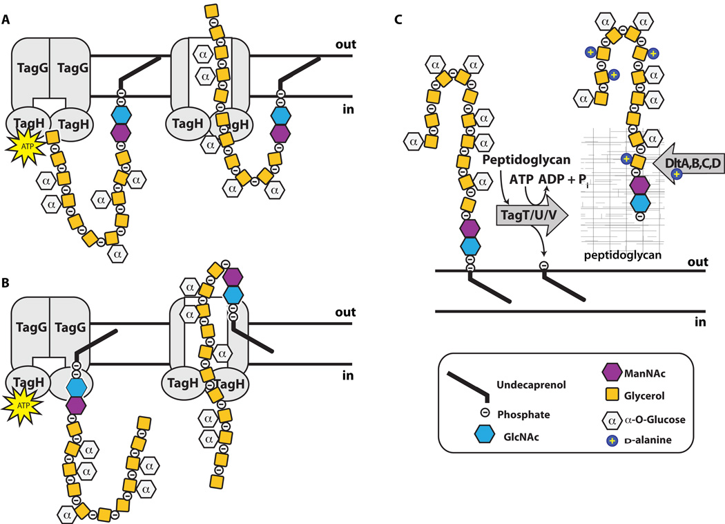 Figure 4