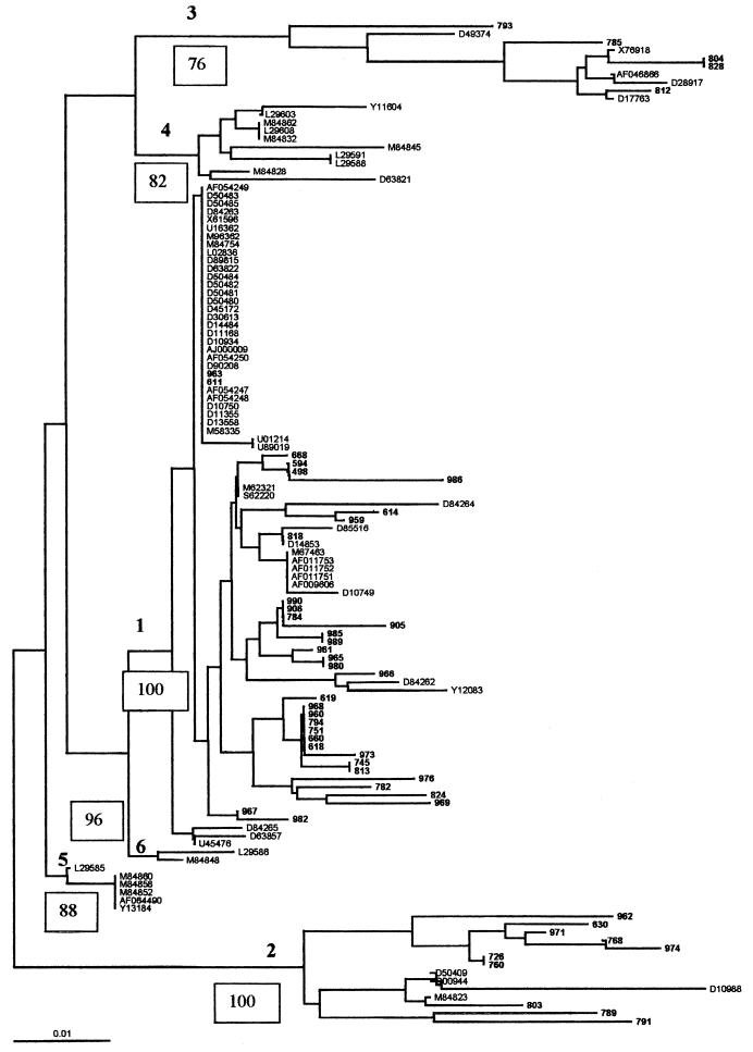 graphic file with name jm0312err003.jpg