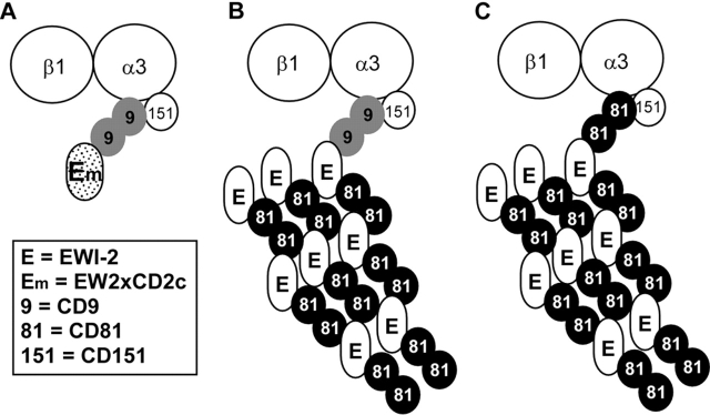 Figure 10.