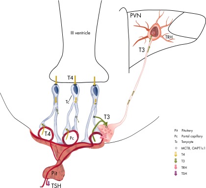 Figure 10.