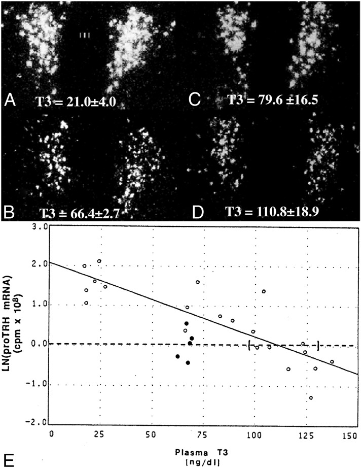 Figure 9.