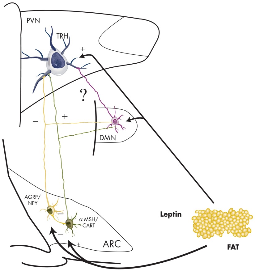 Figure 12.