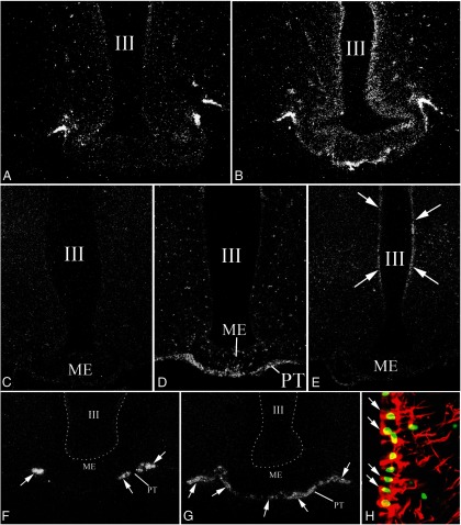 Figure 15.