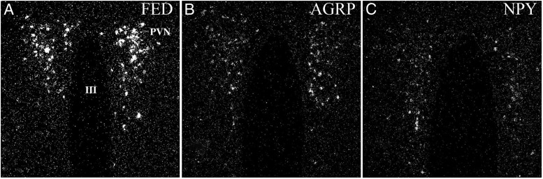 Figure 14.