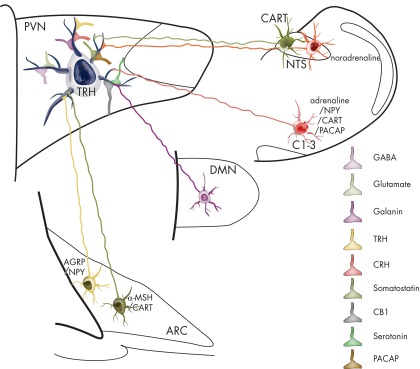 Figure 6.