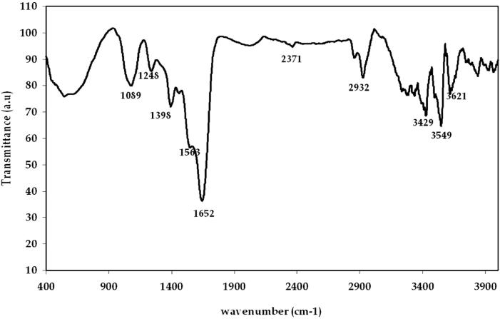 Figure 7