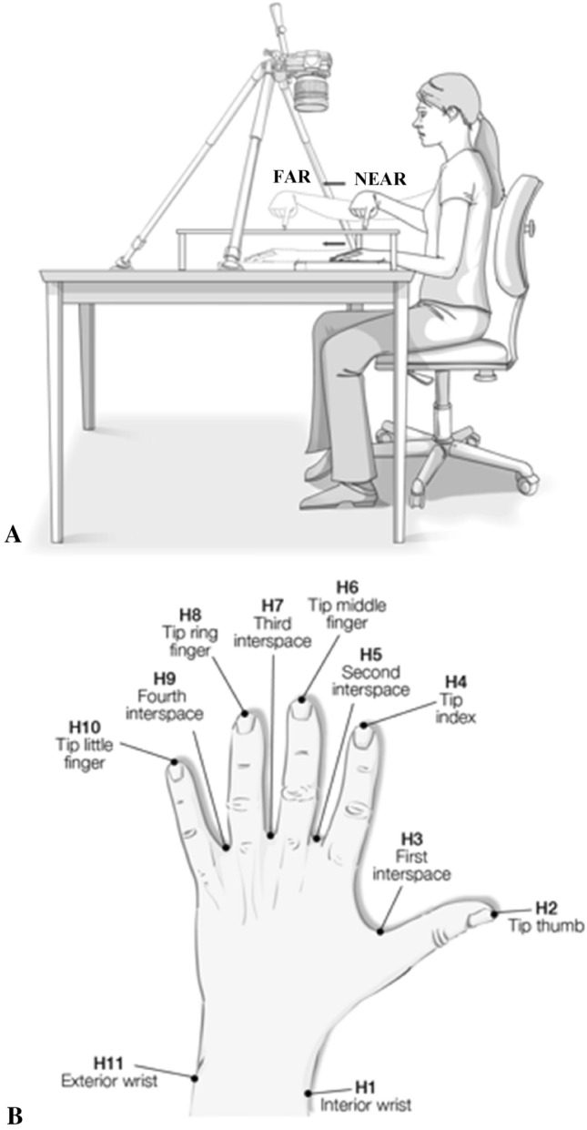 Fig. 1