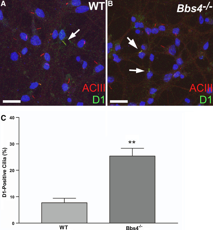 Fig. 2a–c