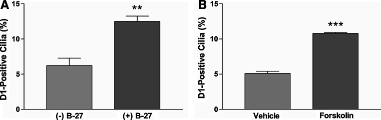 Fig. 4a, b