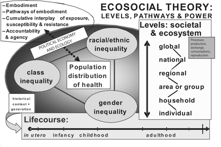 FIGURE 1—