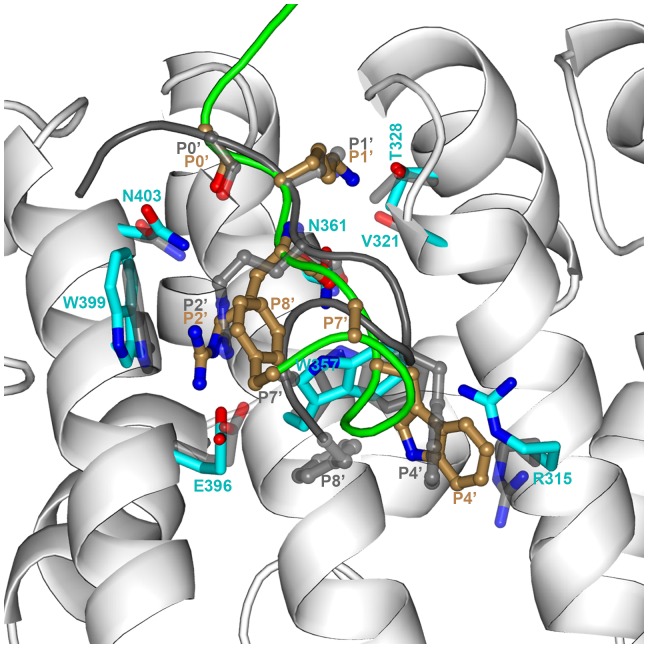 Figure 5